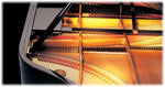Pearl River Z-Series PE121Z Upright Piano
